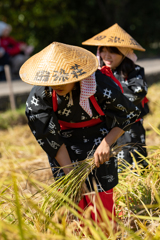 大分県豊後高田市　田染荘　収穫祭