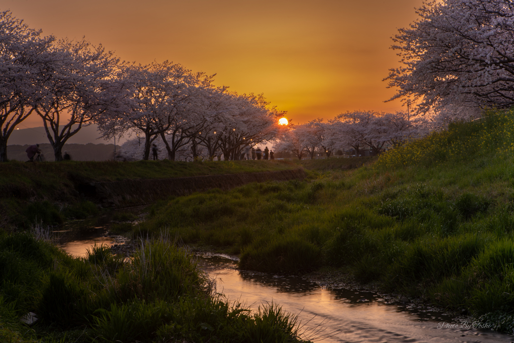 夕陽が沈んでいく