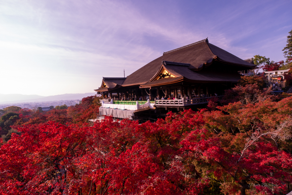 京都に行ってきた（1St　京都紅葉）