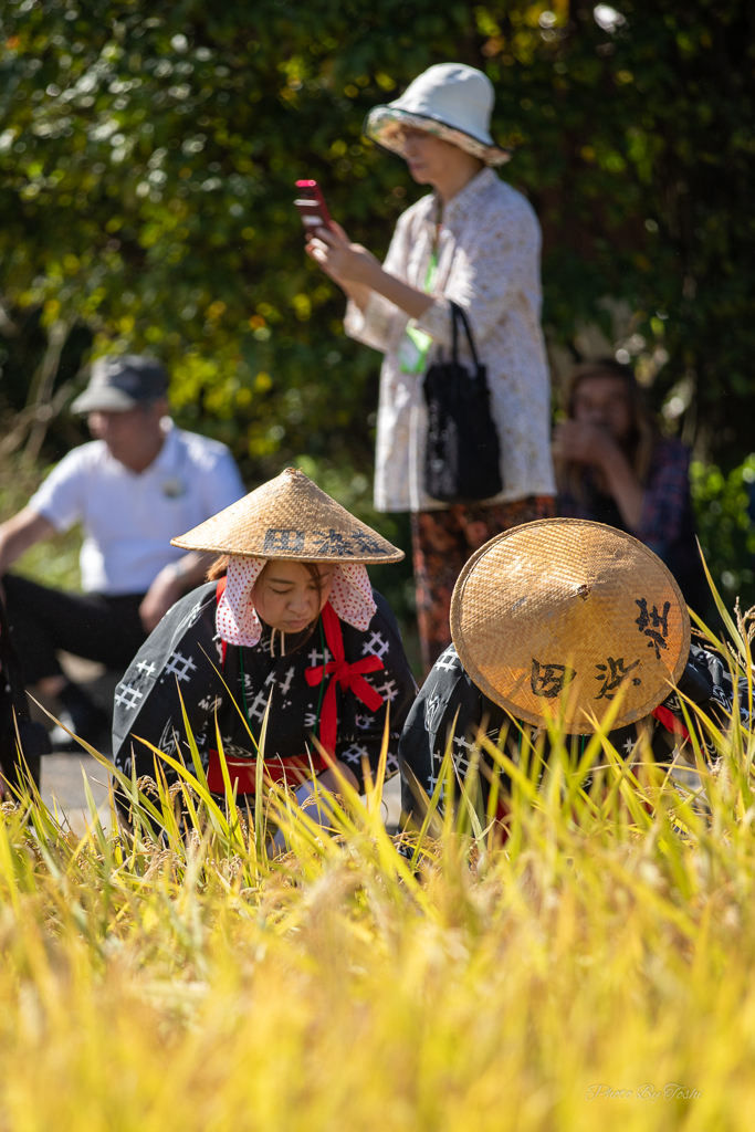 大分県豊後高田市　田染荘　収穫祭