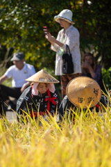 大分県豊後高田市　田染荘　収穫祭