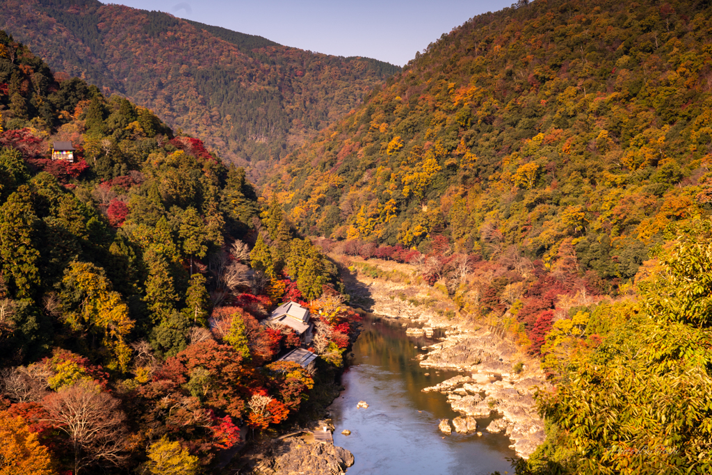 京都に行ってきた（初めて京都の紅葉を堪能）