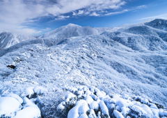 沓掛山山頂少し前