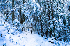 奉幣殿を越えて、雪景色の登山道を行く