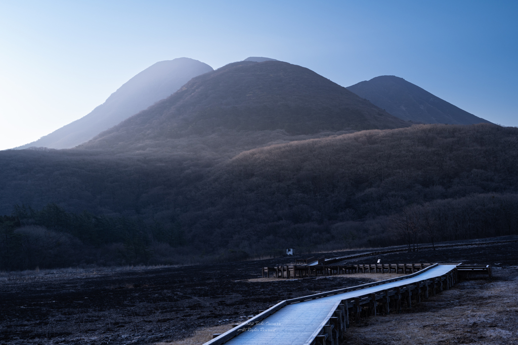 早朝のタデ原湿原