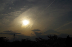 IMGP2225