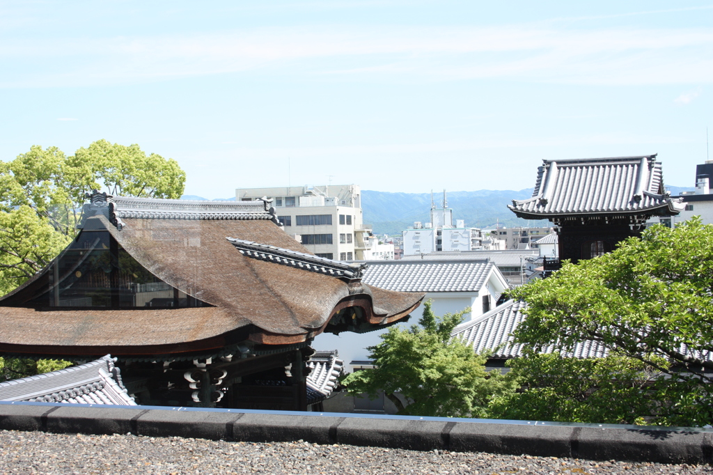 お寺１