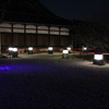 アートアクアリウム（４）