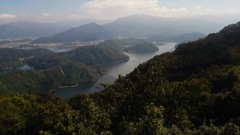 三方