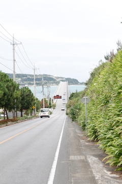 コウリ島へ