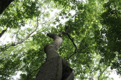 続く道