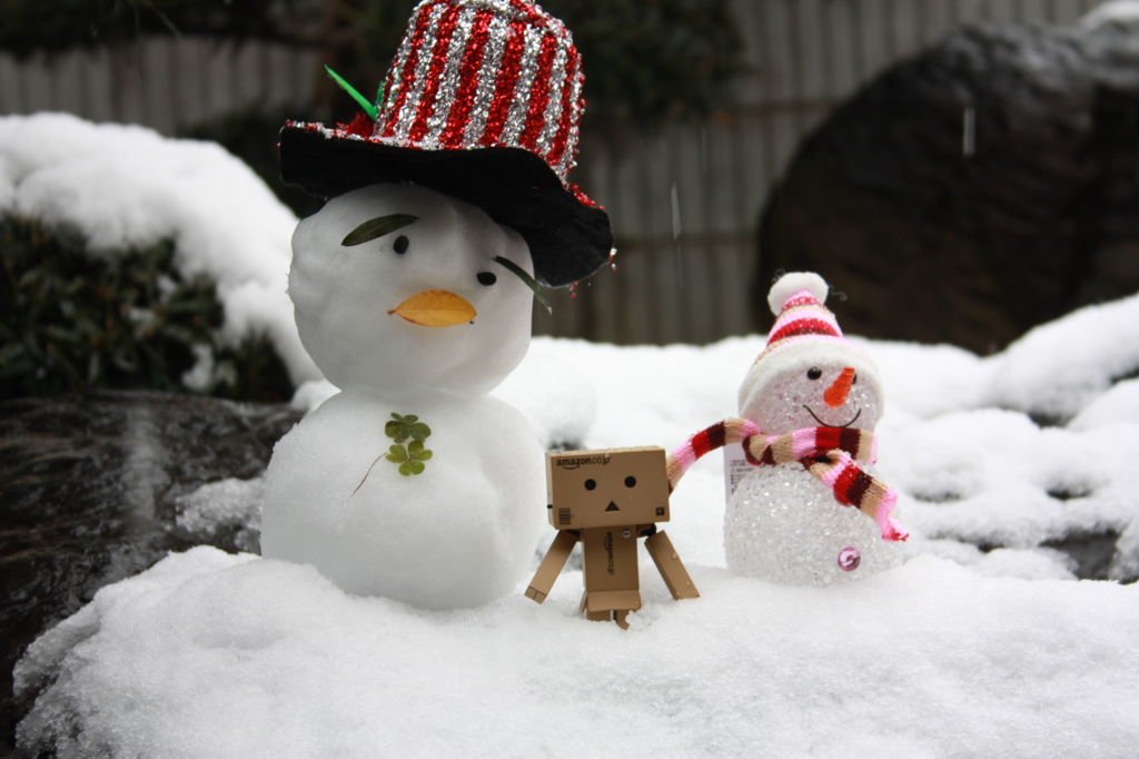 雪時々ダンボー