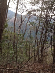 山