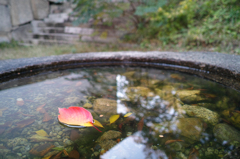 紅舟