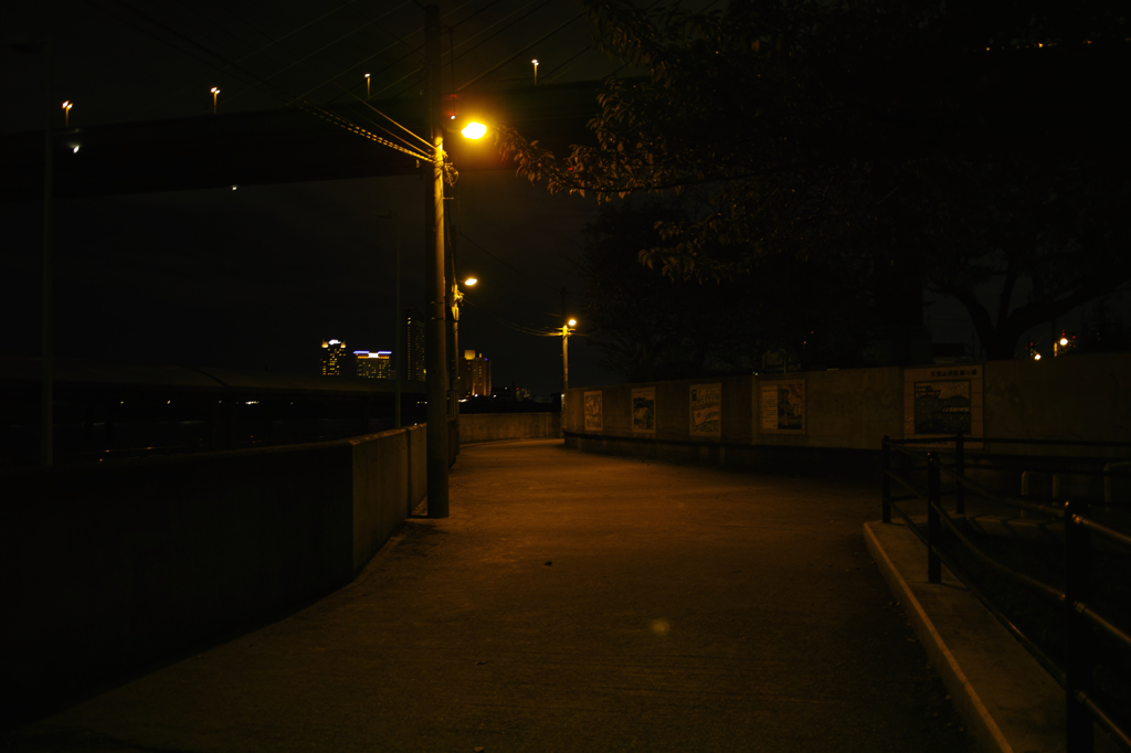 SDIM1684