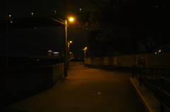 SDIM1684