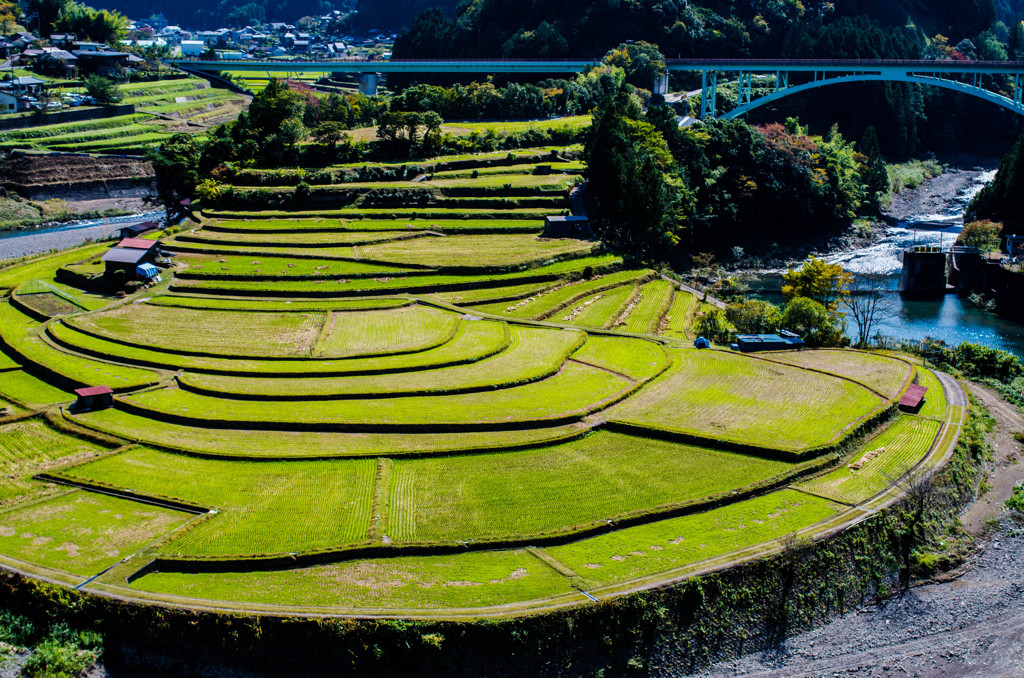 あらぎ島