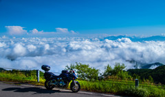 頭を雲の上に出し