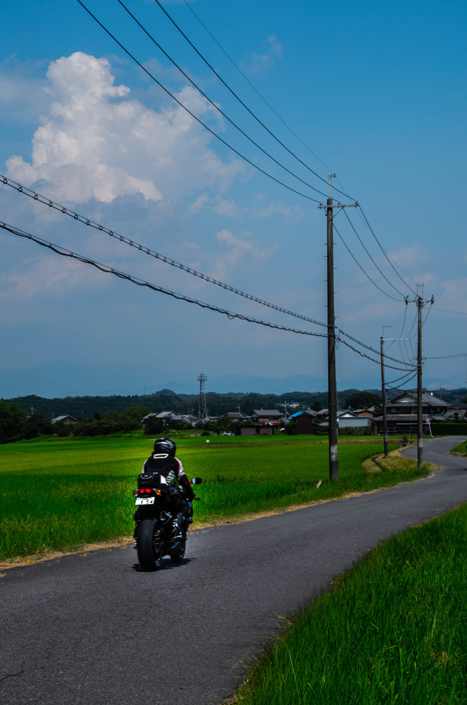 田舎道