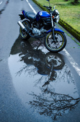 雨上がりの路上に