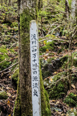 ここまでの道は険しい