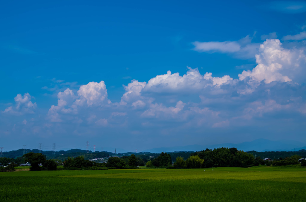 いつもの風景