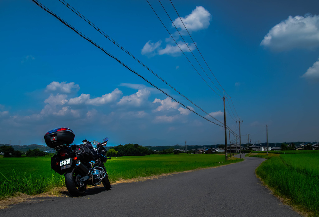帰って来たよ