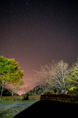 夜は満点の星