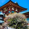 神使