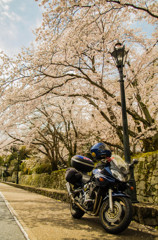 やわらかな空気に包まれて