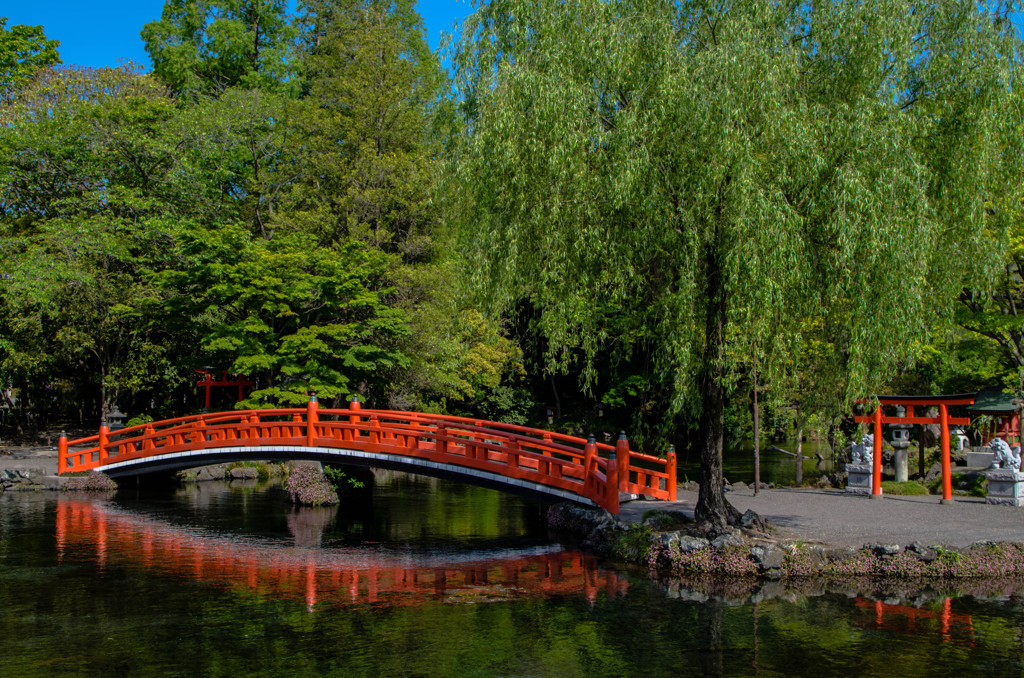 湧玉の池