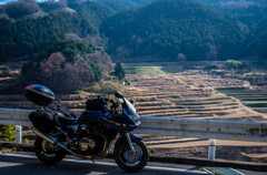 大垪和の棚田