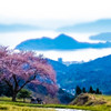 春到来