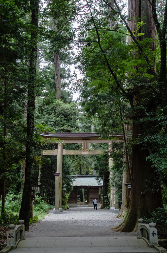 鎮守の森の奥深く