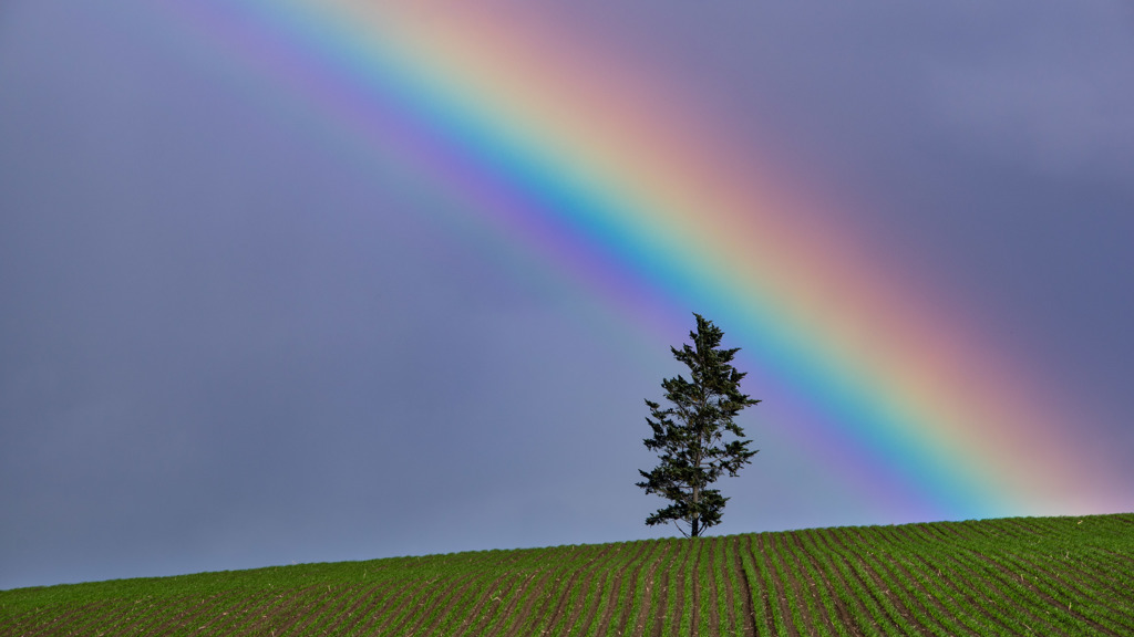 Over the Rainbow