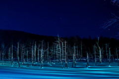夜の青い池