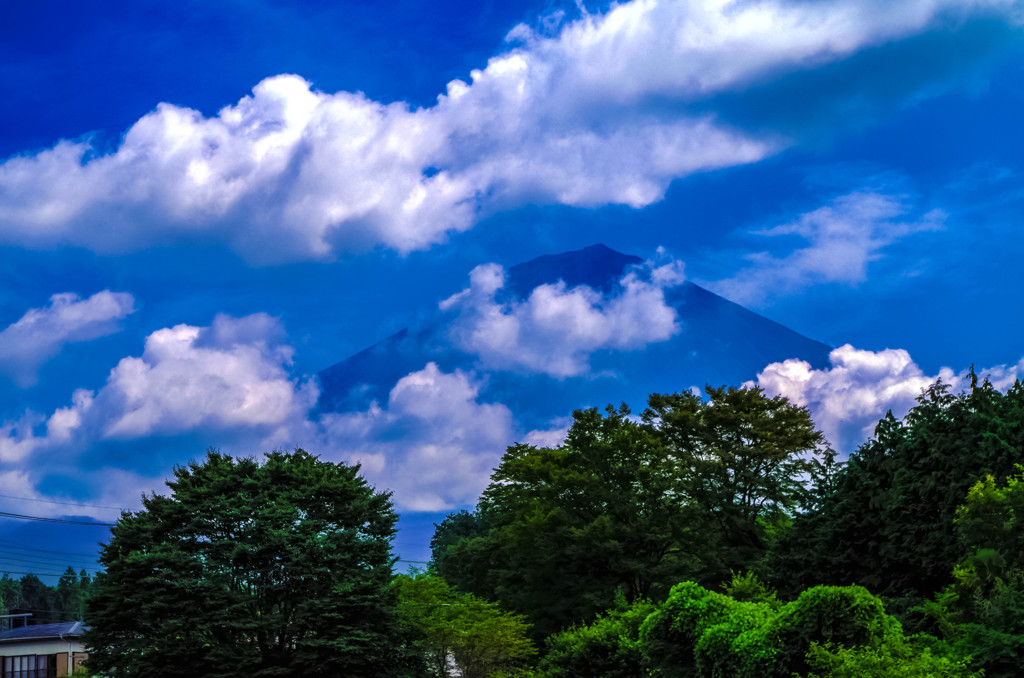 富士山