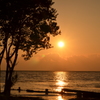 夕日