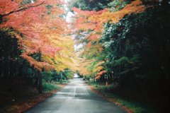 帰り道