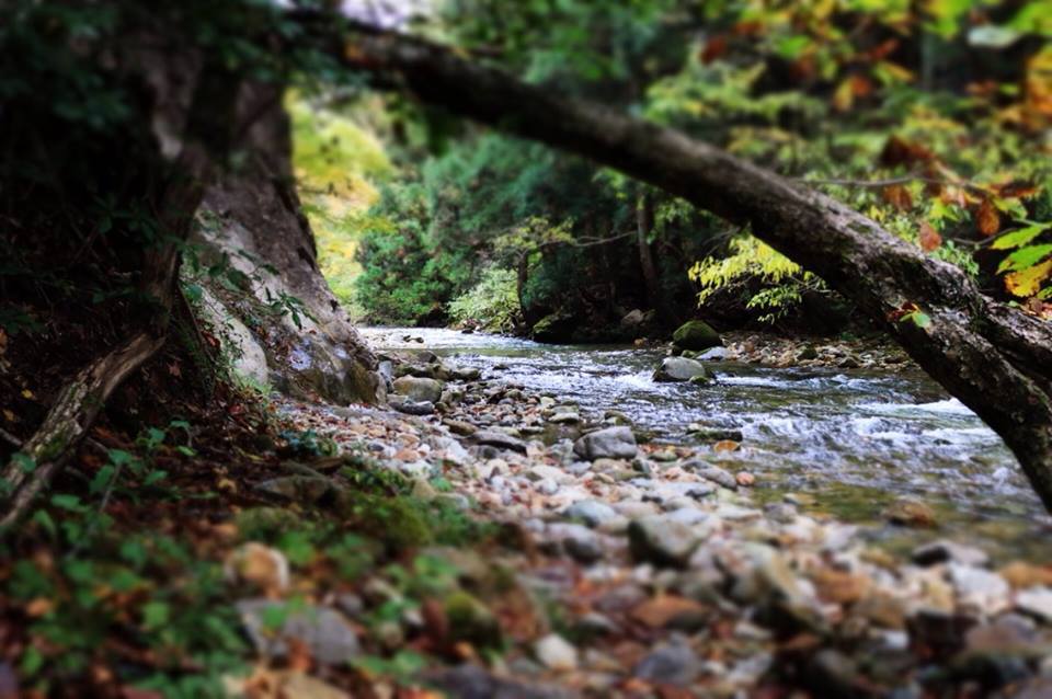 川辺の冒険