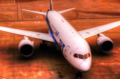 ANA787便