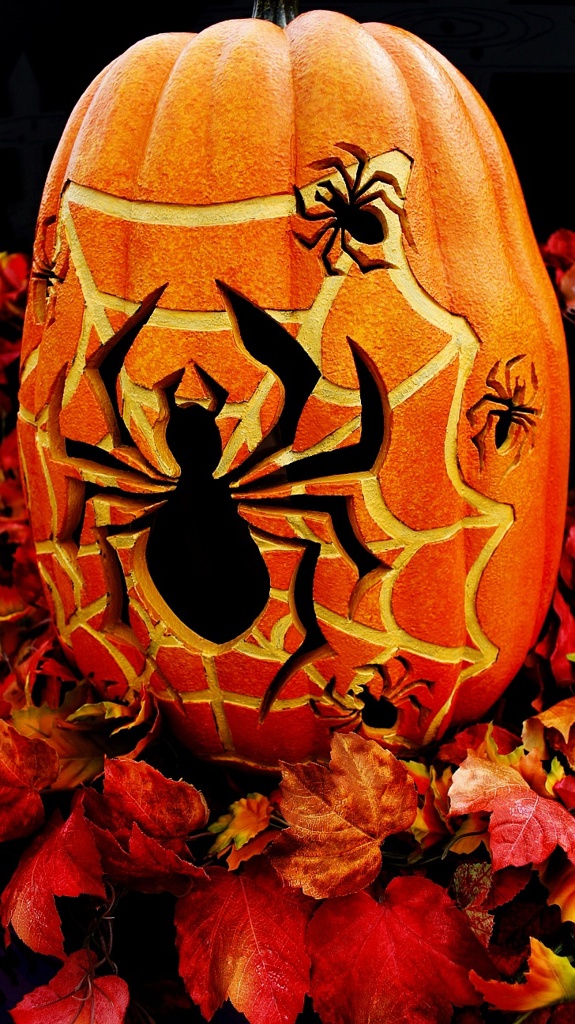 2013 HALLOWEEN (Tokyo Disney Sea)