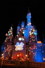 2013 HALLOWEEN (Tokyo Disney Land)