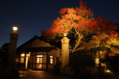 小金井公園