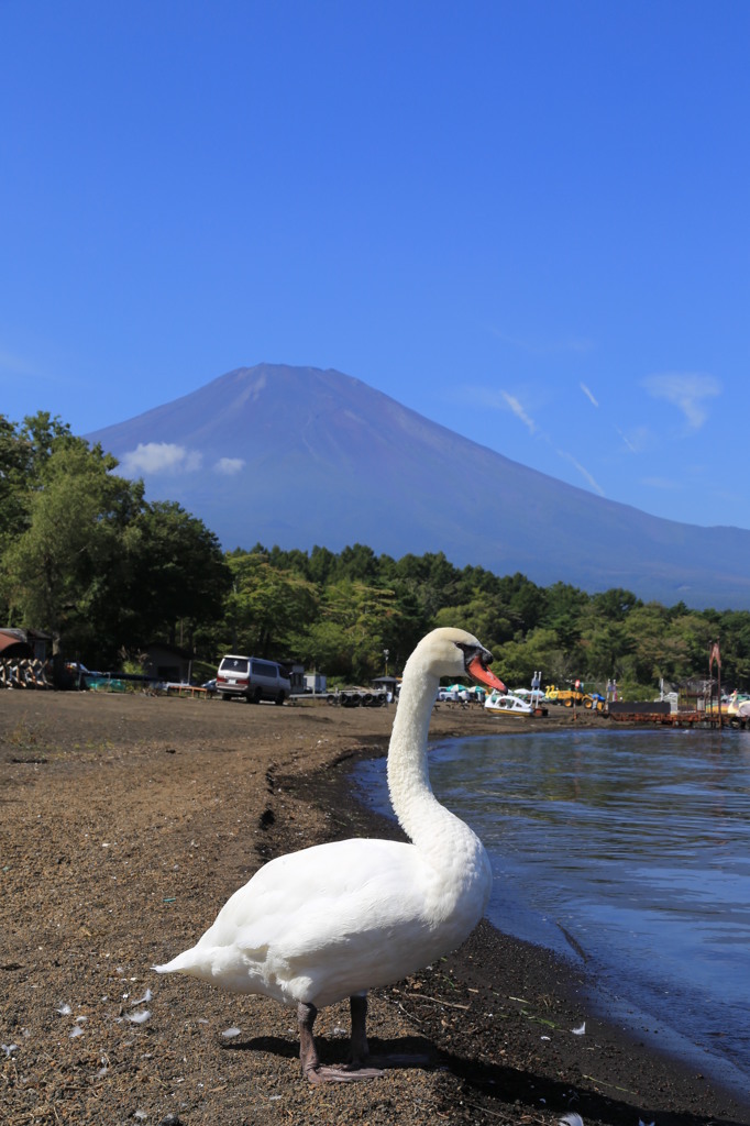 山梨　山中湖