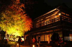 I小金井公園