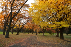 小金井公園