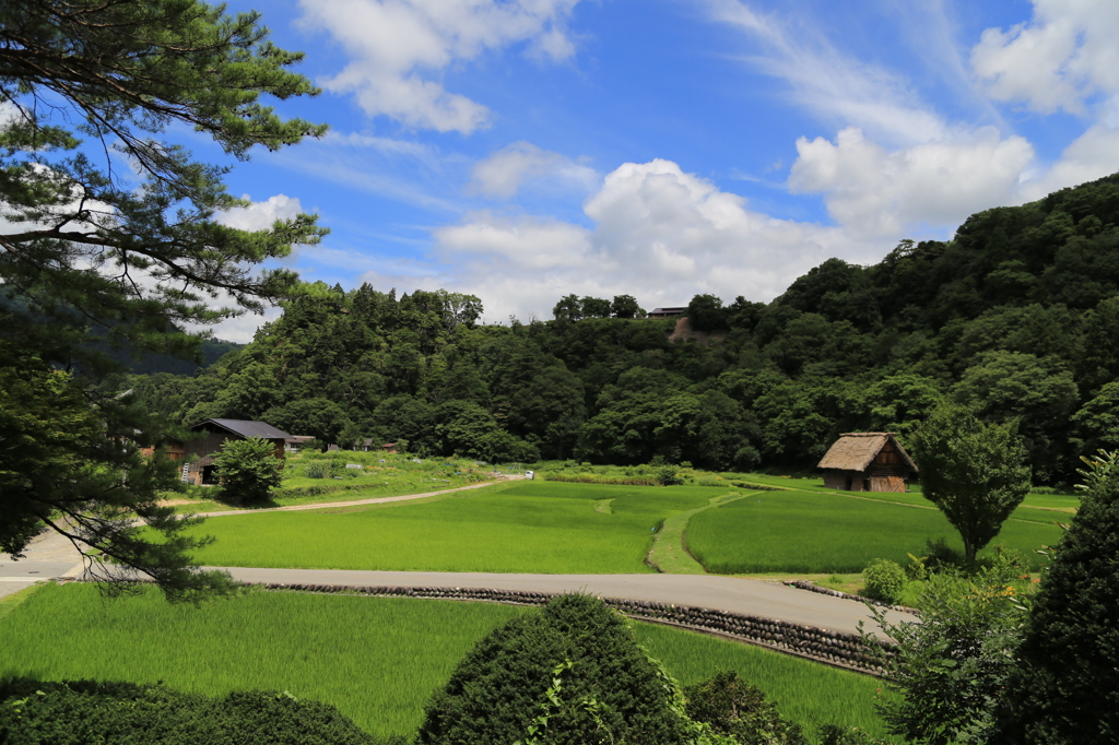 白川郷