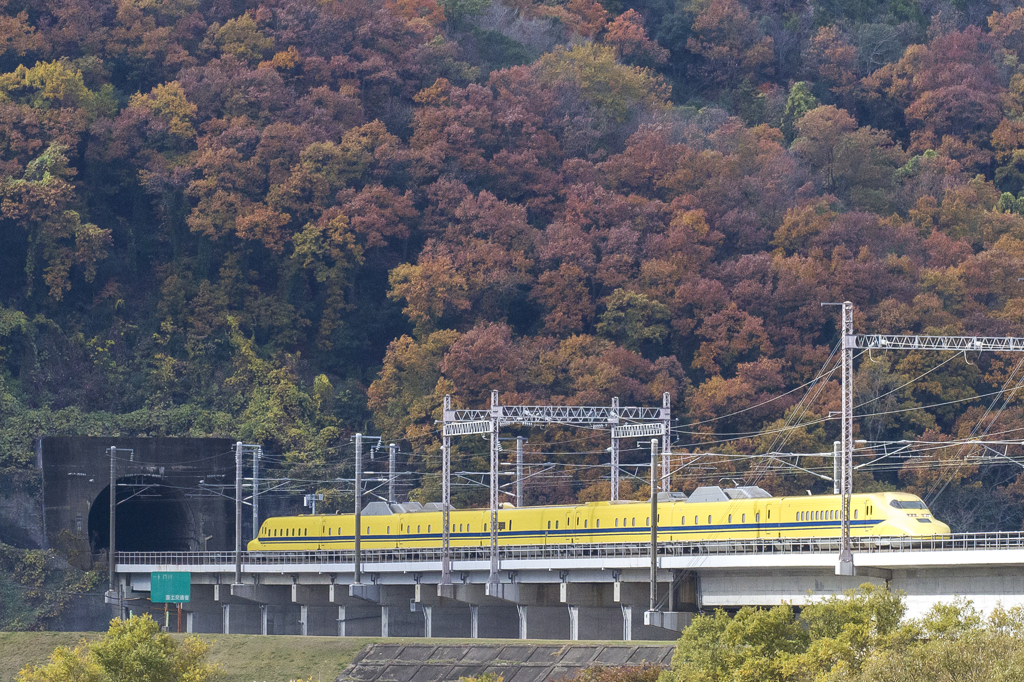 晩秋の時を駆け抜けるドクターイエロー