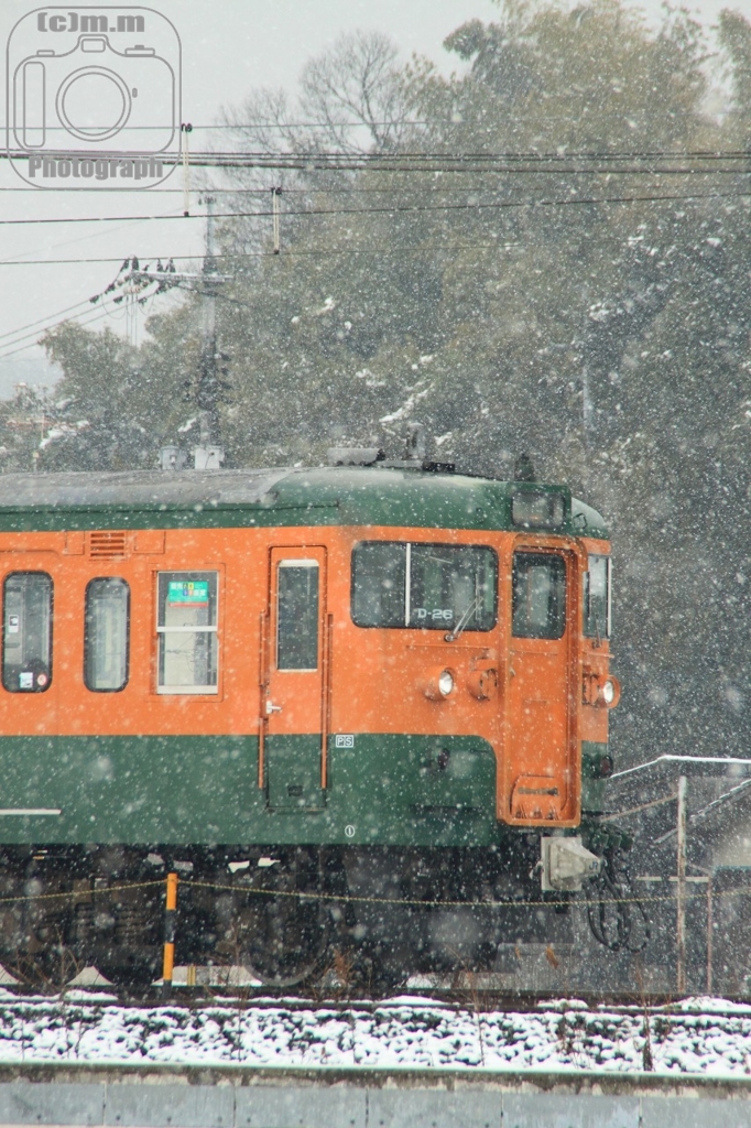 雪と115系